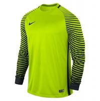Детский вратарский свитер NIKE GARDIEN JSY LS JR 725969-702 - вид 1 миниатюра