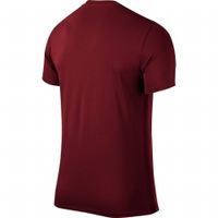 Футболка NIKE PARK VI JSY SS SR 725891-677 - вид 1 миниатюра