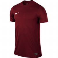 Футболка NIKE PARK VI JSY SS SR 725891-677 - вид 1 миниатюра