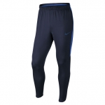 Штаны NIKE DRY PANT SQD KPZ SR 807684-452 - вид 1 миниатюра