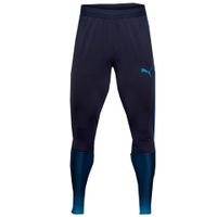 Штаны PUMA evoTRG TECH PANT SR