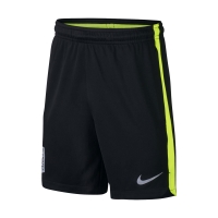 Шорты NIKE NYR DRY SQD SHORT KZ JR 890815-010 - вид 1 миниатюра