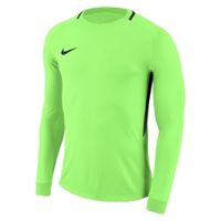 Детский вратарский свитер NIKE PARK III JSY LS GK JR 894516-398 - вид 1 миниатюра