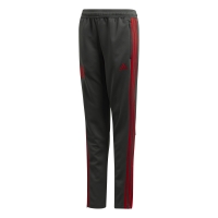 Детские штаны ADIDAS FCB TR PNT JR CW7293 - вид 1 миниатюра