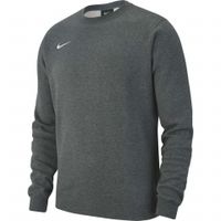 Детский свитер NIKE CRW FLC TM CLUB19 JR AJ1545-071 - вид 1 миниатюра