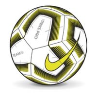 Футбольный мяч NIKE STRIKE PRO TEAM