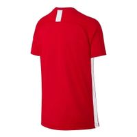 Футболка NIKE DRI-FIT ACADEMY SR AO0739-657 - вид 1 миниатюра