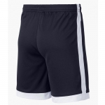 Шорты NIKE DRI-FIT ACADEMY SR AO0771-451 - вид 1 миниатюра