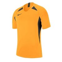 Футболка NIKE DRY LEGEND JSY SS (SP19) AJ0998-739 - вид 1 миниатюра