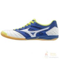 Обувь для зала MIZUNO SALA PREMIUM 3 IN (AW18) Q1GA1860-27 - вид 1 миниатюра
