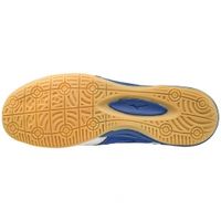 Обувь для зала MIZUNO SALA PREMIUM 3 IN (AW18) Q1GA1860-27 - вид 2 миниатюра