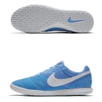 Обувь для зала NIKE PREMIER II SALA SR AV3153-414 - вид 1 миниатюра