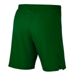 ШортыNIKE DRY LSR IV SHORT W SR AJ1245-302 - вид 1 миниатюра