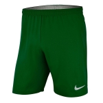 ШортыNIKE DRY LSR IV SHORT W SR AJ1245-302 - вид 1 миниатюра