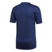 Футболка ADIDAS STRIPED 19 JSY SR DP3201 - вид 1 миниатюра