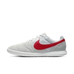 Обувь для зала NIKE PREMIER II SALA SR AV3153-061 - вид 1 миниатюра