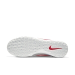 Обувь для зала NIKE PREMIER II SALA SR AV3153-061 - вид 2 миниатюра