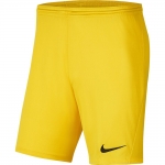 ШортыNIKE DRI-FIT PARK III SR BV6855-719 - вид 1 миниатюра