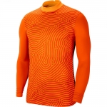 Детский вратарский свитер NIKE GARDIEN III GK JSY LS JR BV6743-891 - вид 1 миниатюра