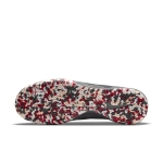 Обувь для зала NIKE PREMIER II SALA SR AV3153-068 - вид 2 миниатюра