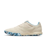 Обувь для зала NIKE PREMIER II SALA SR AV3153-114 - вид 1 миниатюра