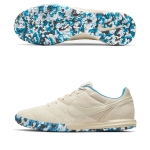 Обувь для зала NIKE PREMIER II SALA SR AV3153-114 - вид 1 миниатюра