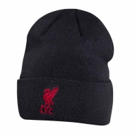 Шапка NIKE LFC DRY BEANIE DA7802-060 - вид 1 миниатюра