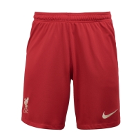 ШортыNIKE LFC MNK DF STADIUM SHORT HM SR DB2557-687 - вид 1 миниатюра