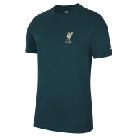 Футболка NIKE LFC M NK TEE TRAVEL SR DB4653-375 - вид 1 миниатюра