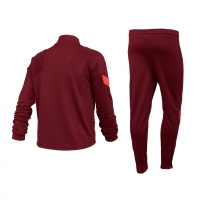 Костюм тренировочный NIKE LFC LK DF STRK TRK SUIT K YTH DC9947-678 - вид 1 миниатюра