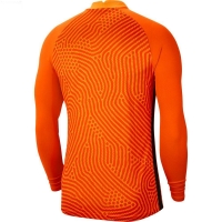 Детский вратарский свитер NIKE GARDIEN III GK JSY LS JR BV6743-891 - вид 1 миниатюра