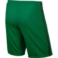 Трусы игровые Nike League Knit Short NB SR 725881-319 - вид 1 миниатюра