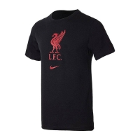 Футболка Nike Lfc Mtee Evergreen Crest SR CZ8182-010 - вид 1 миниатюра