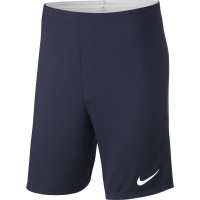 Шорты тренировочные Nike Dry Acdmy18 Short K SR 893691-451 - вид 1 миниатюра