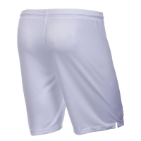 ШортыNIKE ZENIT BRT STAD SHORT HA SR 919693-100 - вид 1 миниатюра