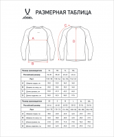 Футболка компрессионная JOGEL PerFormDRY Baselayer LS Tee, серый цб-00004128 ЦБ-00004128 - вид 1 миниатюра