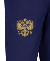 Брюки парадные Jogel ELITE PerFormDRY National 26 Woven Pants, темно-синий цб-00008684 ЦБ-00008684 - вид 5 миниатюра