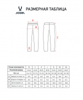 Штаны спортивные JOGEL Essential Athlete PRO Pants, черный цб-00007904 ЦБ-00007904 - вид 1 миниатюра