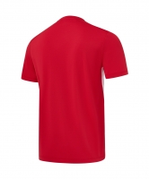 Футболка тренировочная JOGEL DIVISION PerFormDRY Training Poly T-shirt, красный цб-00007987 ЦБ-00007987 - вид 3 миниатюра