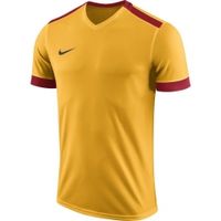 Футболка NIKE DRY PRK DRBY II JSY SS (SP18) 894312-739 - вид 1 миниатюра