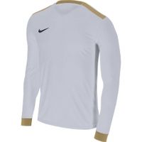 Футболка NIKE DRY PARK DERBY II JSY LS (SU18) 894322-100 - вид 1 миниатюра