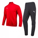 Костюм тренировочный PUMA LIGA Sideline Tracksuit (SS18)