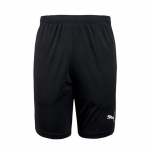 Шорты PUMA LIGA Training Shorts (SS18)