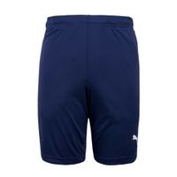 Шорты PUMA LIGA Training Shorts (SS18)