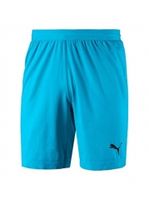 Вратарские шорты PUMA FINAL evoKNIT GK Shorts (SS18)