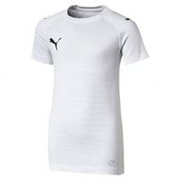 Футболка PUMA FINAL evoKNIT Jersey (SS18)