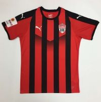 Футболка PUMA LIGA Jersey Striped фк химки 70342423 Футболка PUMA LIGA Jersey Striped фк химки 70342423