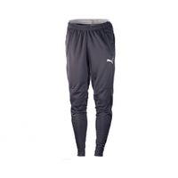 Штаны PUMA TRAINING PANTS (SS14) Штаны PUMA TRAINING PANTS (SS14)
