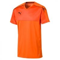 Футболка PUMA ACCURACY SS (SS17) 70221408 - вид 1 миниатюра