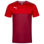 Футболка PUMA ACCURACY SS (SS17)